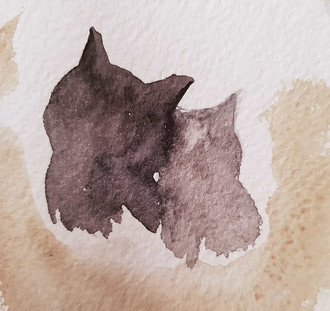 Two cats staring into the distance