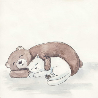 A cat & a bear hugging while sleeping
